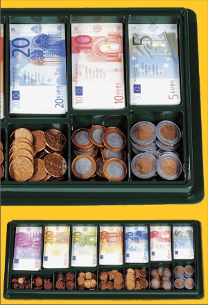 Euro organizr (130ks)